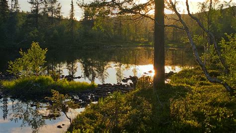   Yakobidin, Tämän Veden Täydellisen Mestaajan Ja Pienen Röhnän!